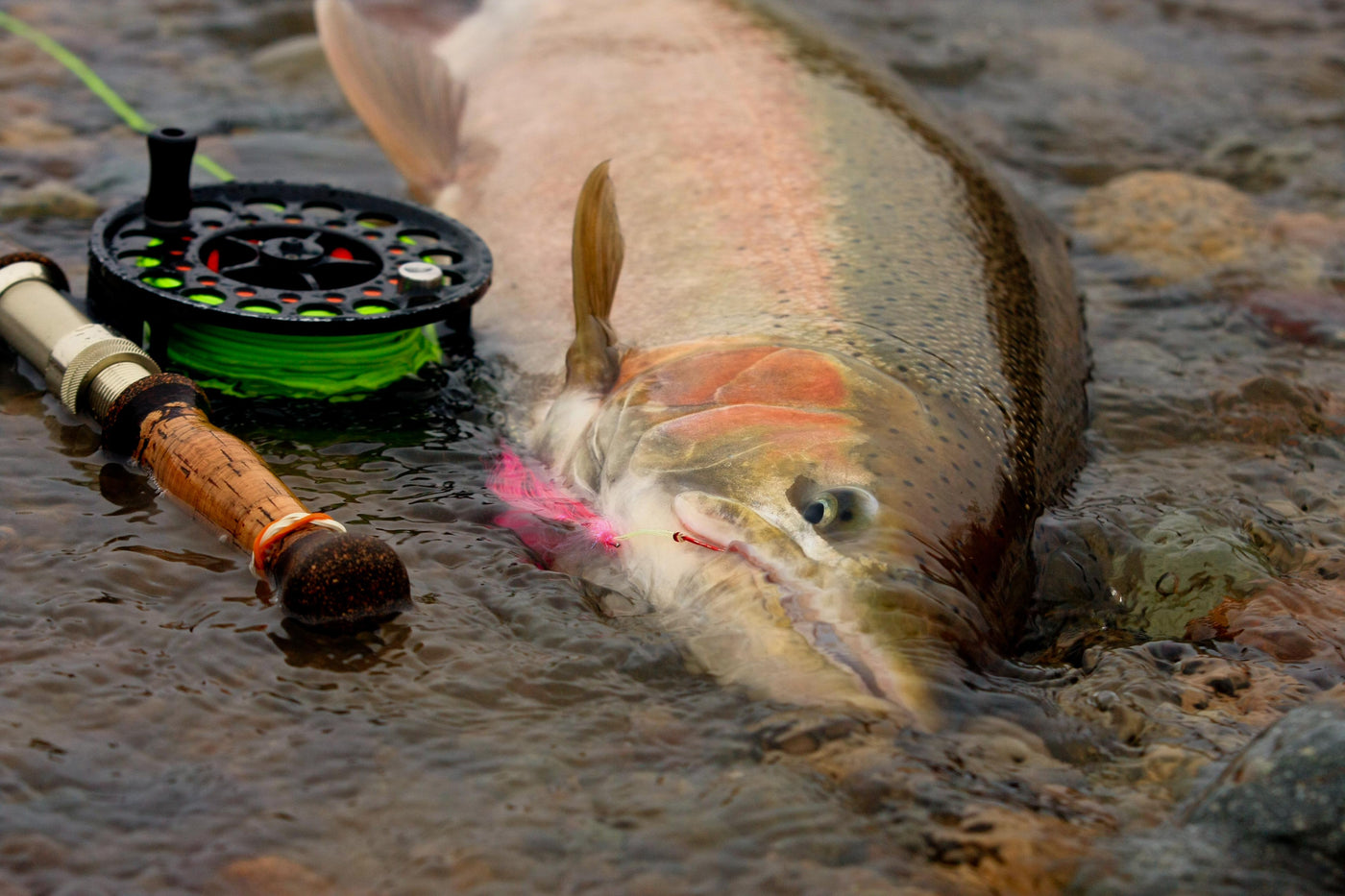 Leave the Phone at Home